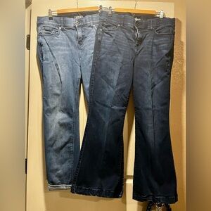 Two Pairs of Torrid Jeans